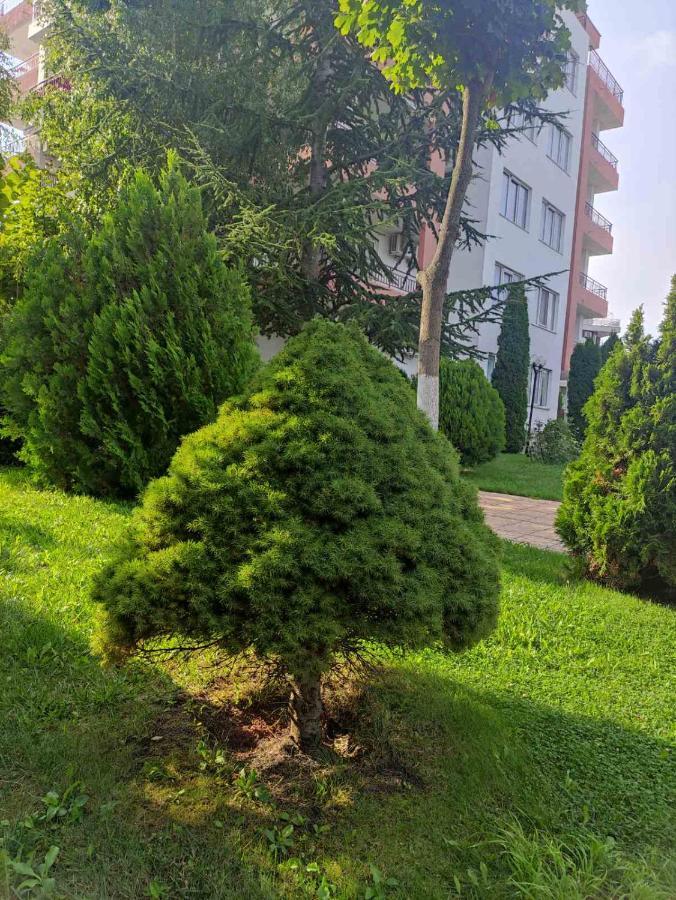Ravda Sea View Apartman Kültér fotó